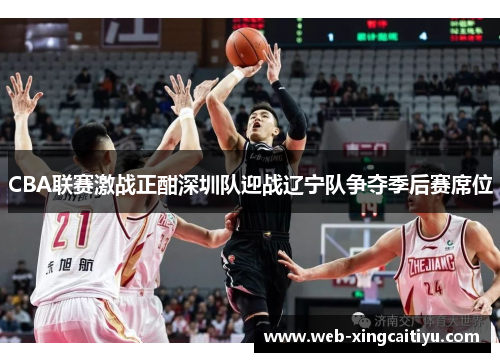CBA联赛激战正酣深圳队迎战辽宁队争夺季后赛席位